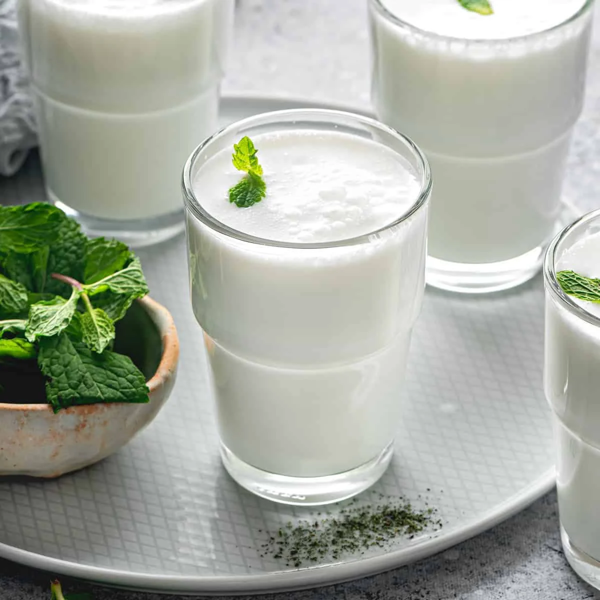 Yogurt Drink / Ayran